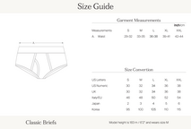 Classic Briefs | men’s underwear | håndværk